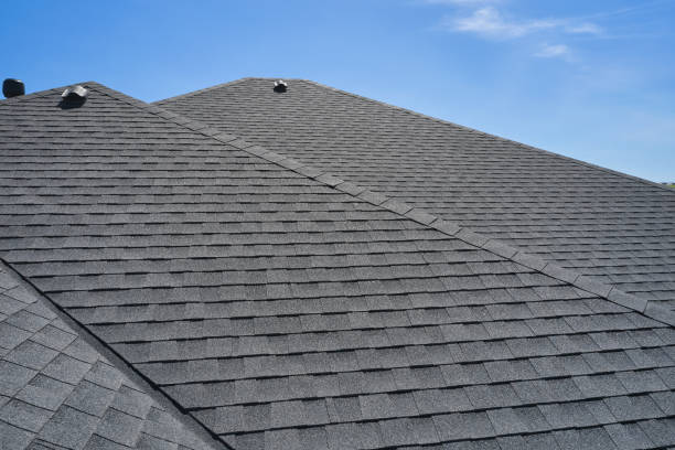 Best Roof Coating and Sealing  in Mayo, SC